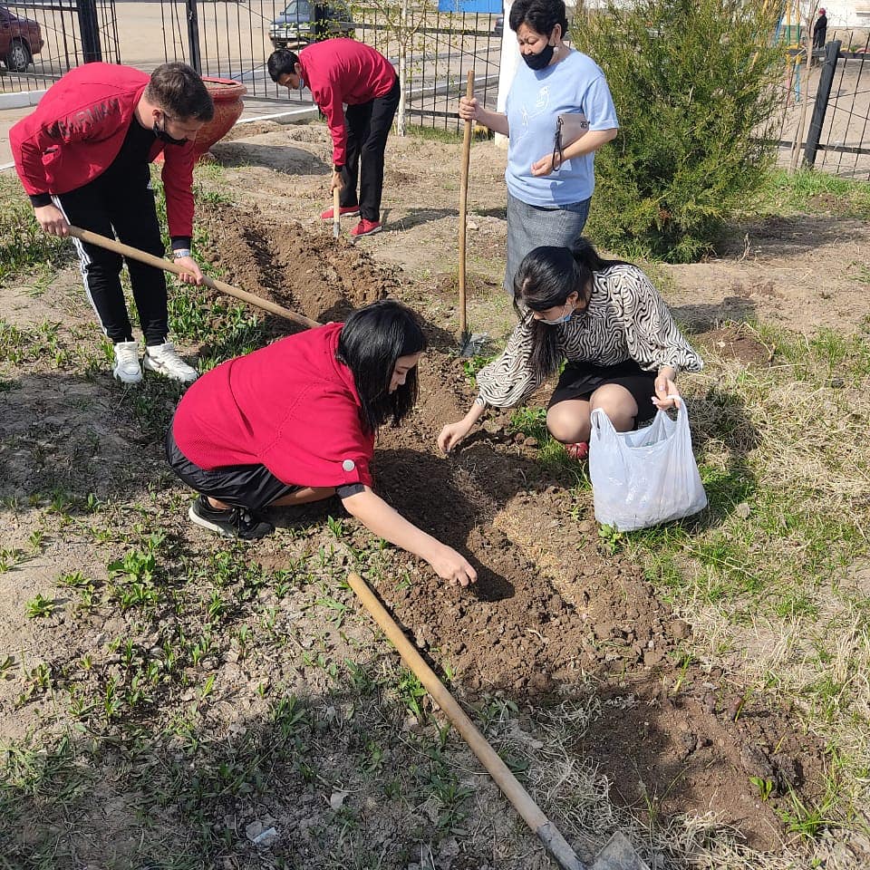 Көгалдандыру жұмыстары