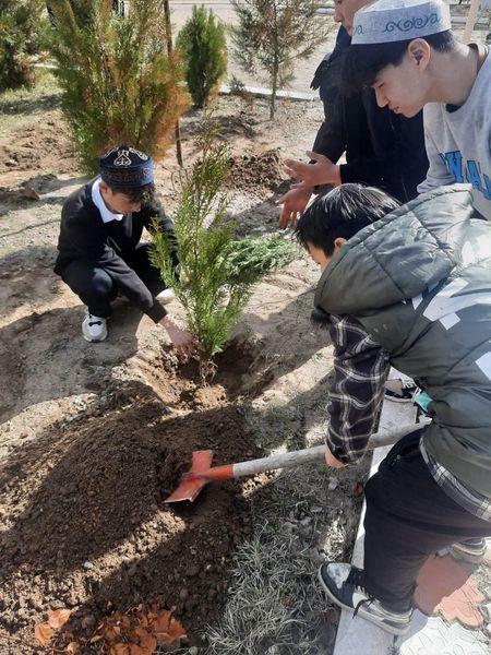 «Ұлыстың ұлы күні-Наурыз» мерекесі қарсаңында  «Жүз жылдығын ойлаған халық ағаш егеді» акциясы  аясында "Жібек жолы мектеп лицейінде қоршаған ортаны, табиғатты аялауға, балаларды тазалыққа тәрбиелеу мақсатында білім алушыларының дәстүрлі  мектеп  айн